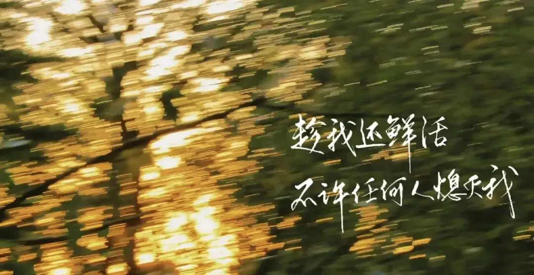 《人民日報(bào)》30個(gè)熱點(diǎn)人物素材（事跡+適用主題+示范文段）