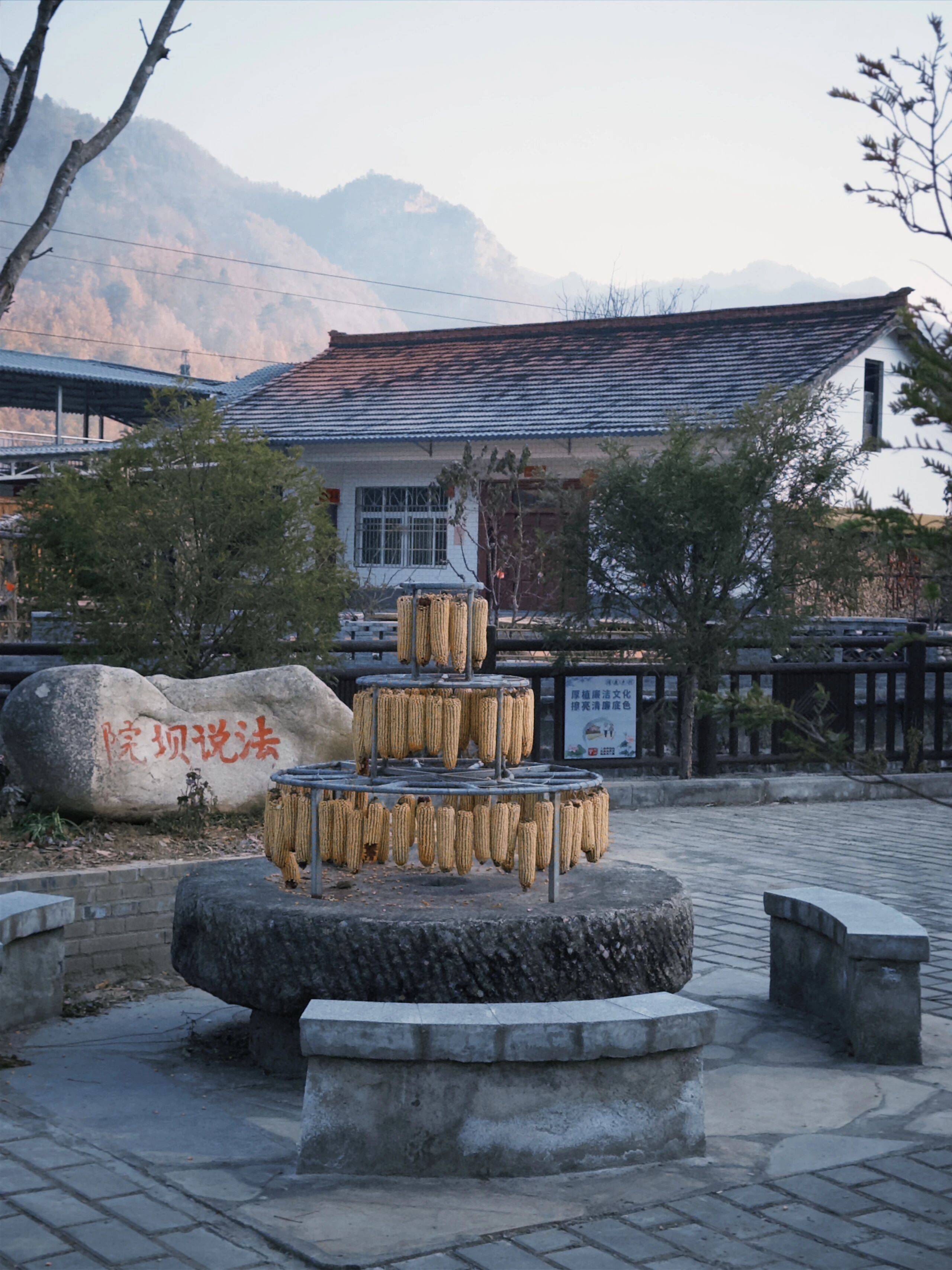 留壩新年美食大賞，哪一道最夯？