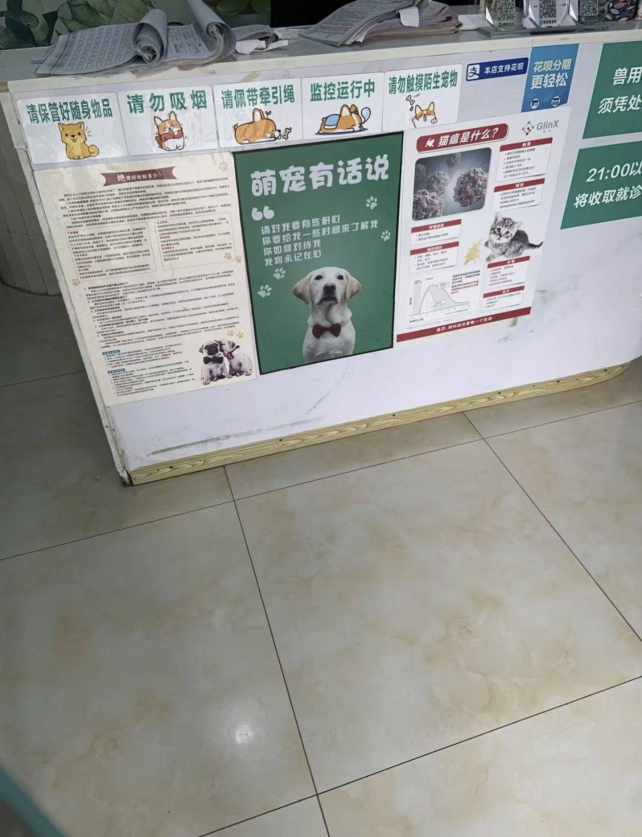 溫江區(qū)寵物美容服務質量對比