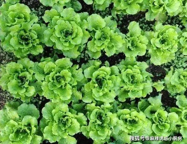 原創(chuàng)這些云南美食再一次登上央視！這些美食傳承者個個生財有道！