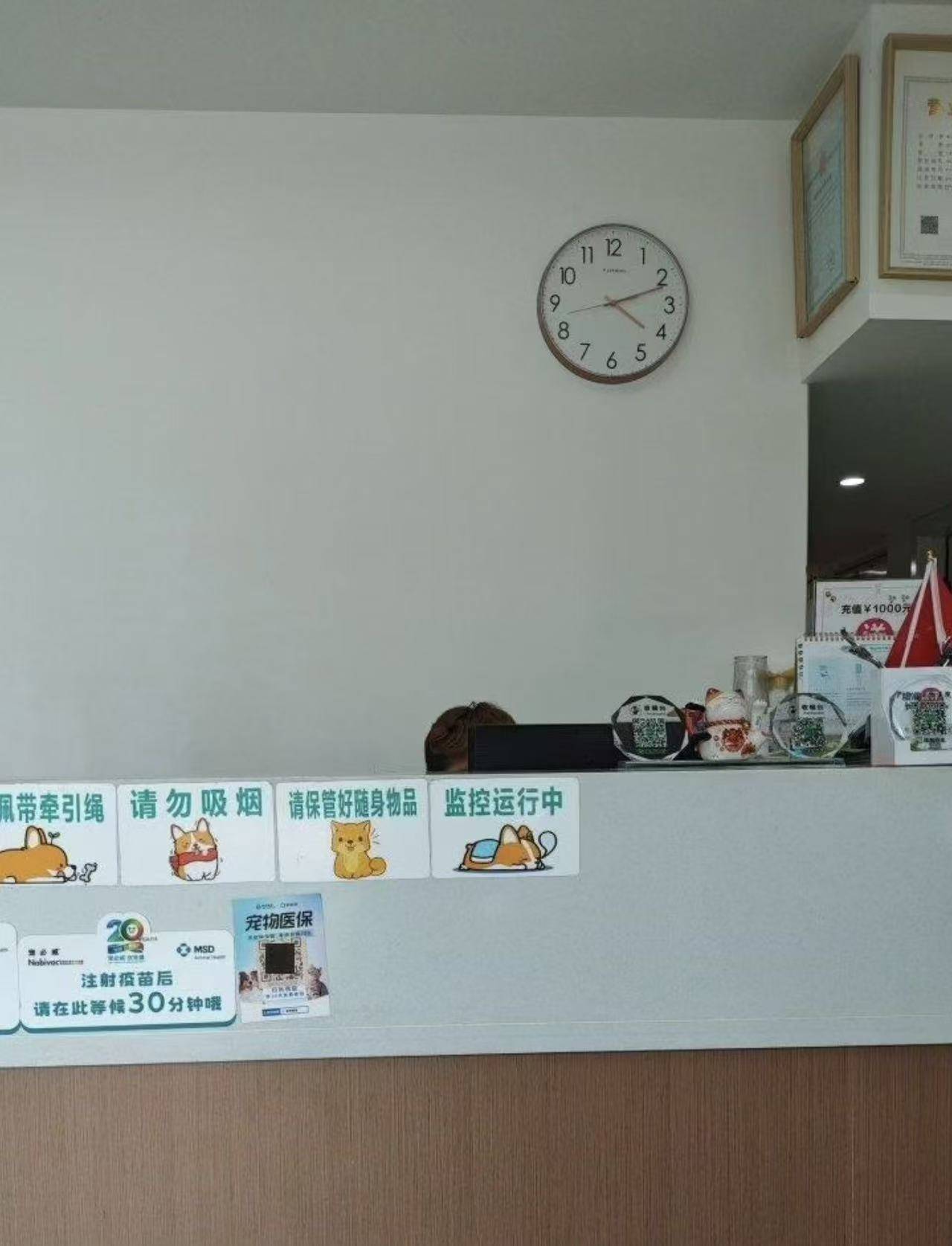 溫江區(qū)寵物美容服務(wù)質(zhì)量對比