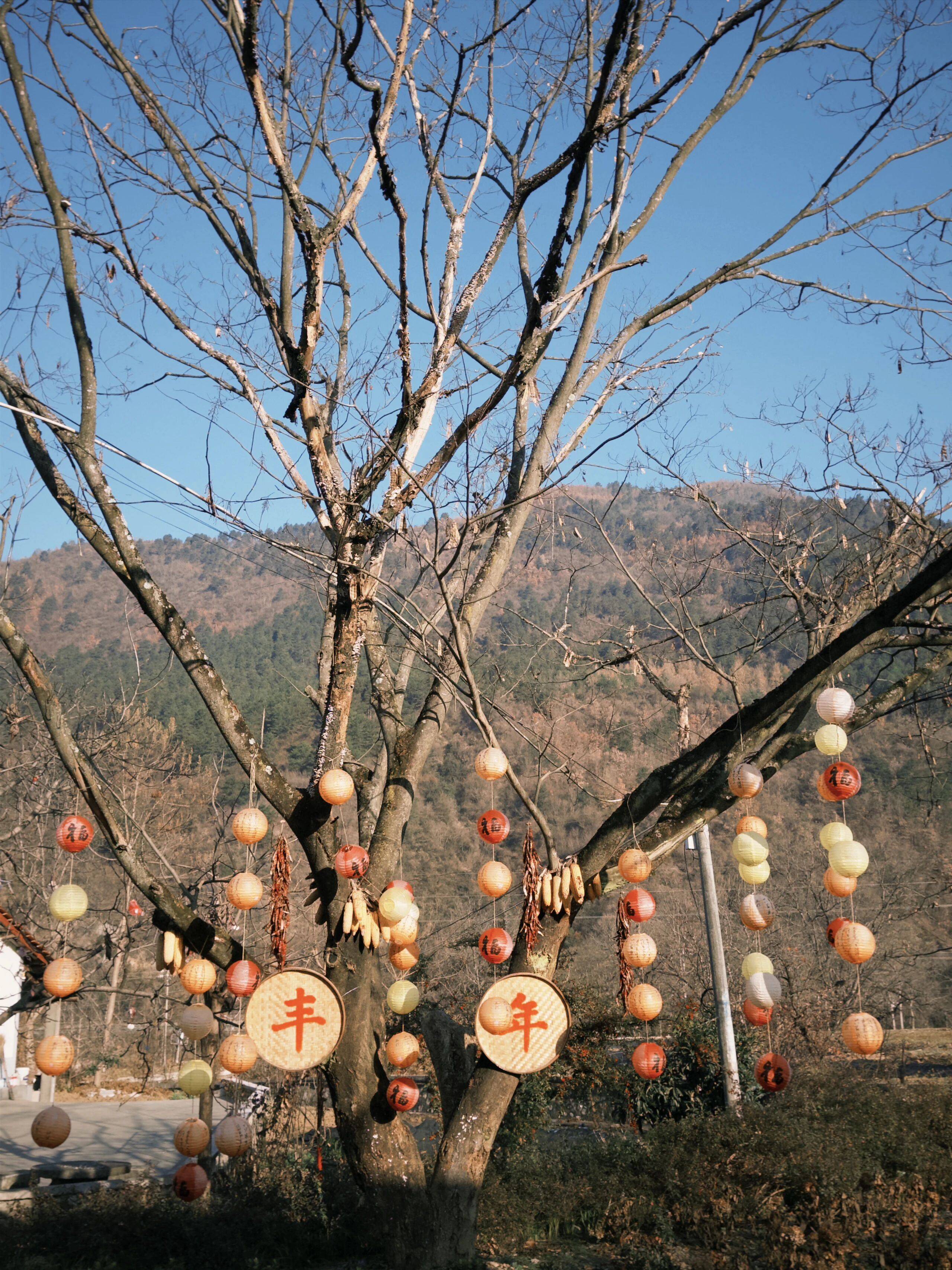 留壩新年美食大賞，哪一道最夯？