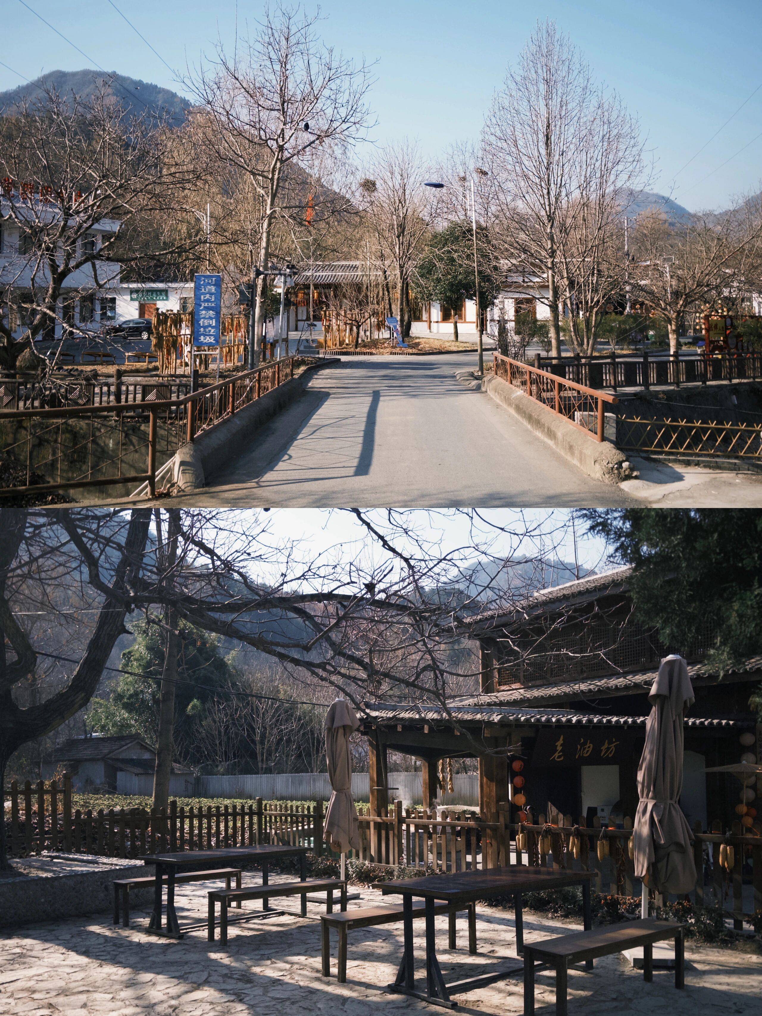 留壩新年美食大賞，哪一道最夯？