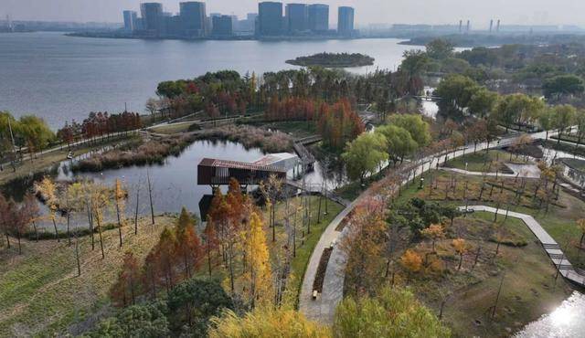 春節(jié)剛過(guò)，“小天鵝旅游團(tuán)”翩躚降臨北龍湖