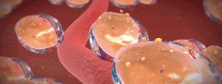 女性“最佳體重”已公布，不是100斤，而是這個數(shù)，越接近越年輕健康！