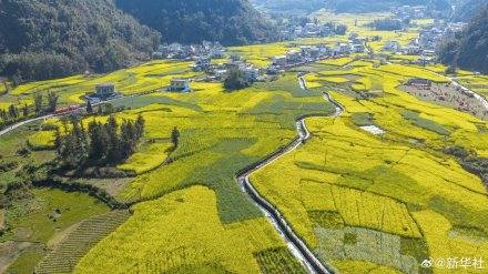 收藏春日！打卡春天里的大美中國(guó)