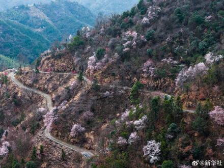 收藏春日！打卡春天里的大美中國(guó)