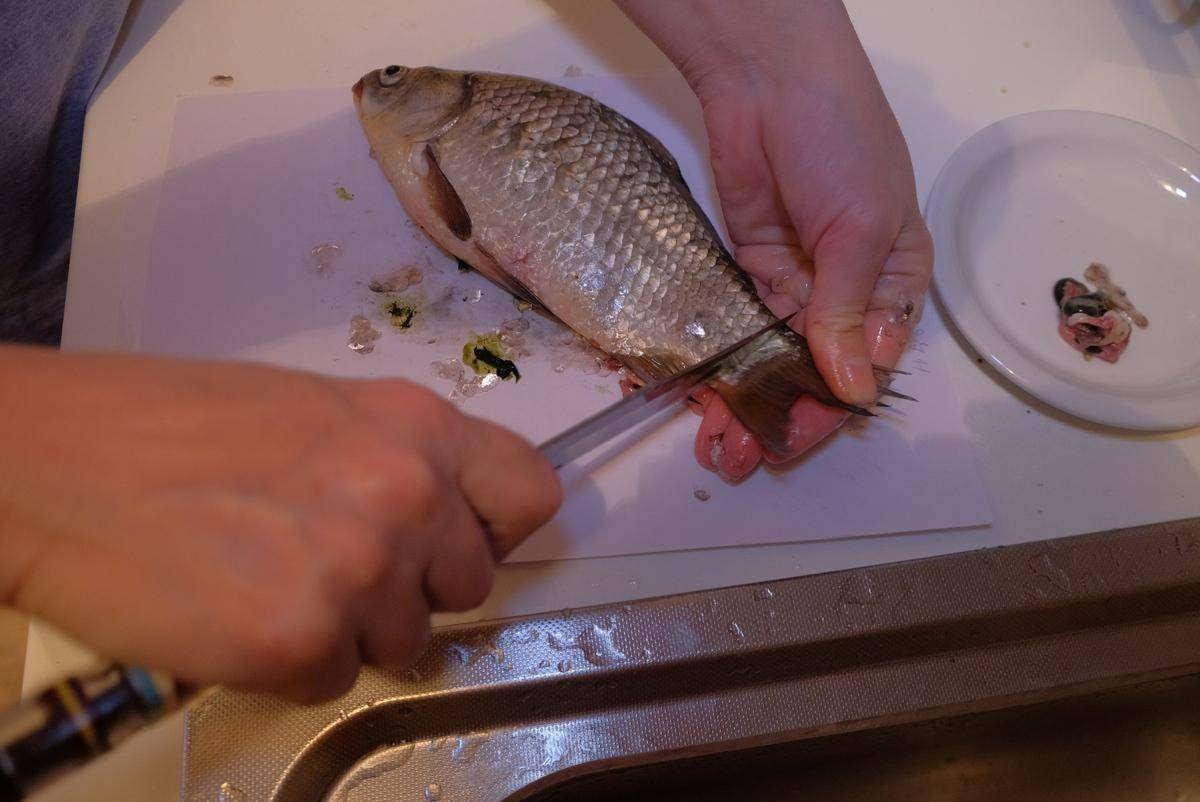 原創(chuàng)解鎖官方賽事濾鏡'順德煙花'，40分鐘做出美食博主熬夜6小時(shí)的3D賀卡