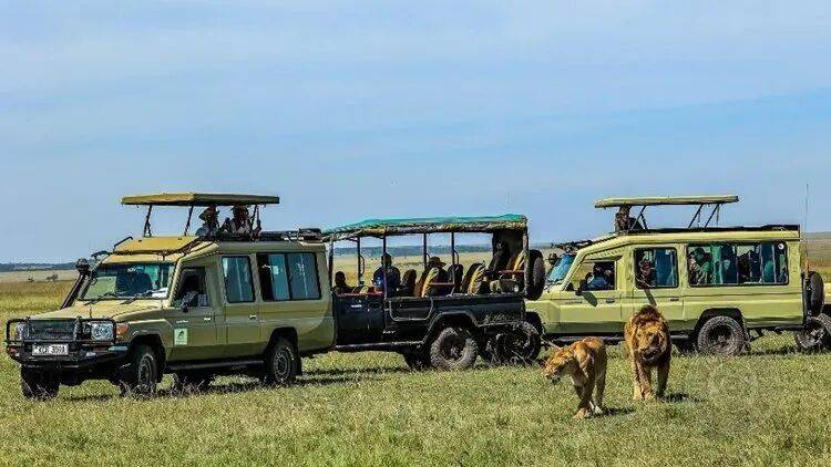 揭曉 | 2025年羅馬尼亞第9屆Onyx國際攝影大賽（旅游組）獲獎公布