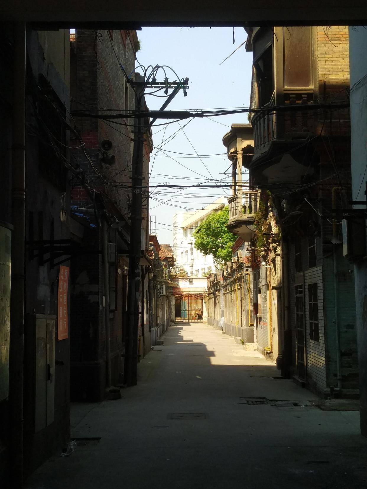 原創(chuàng)從大熊貓的天然黑土皮膚，看順德美食如何用AI守護(hù)原汁原味