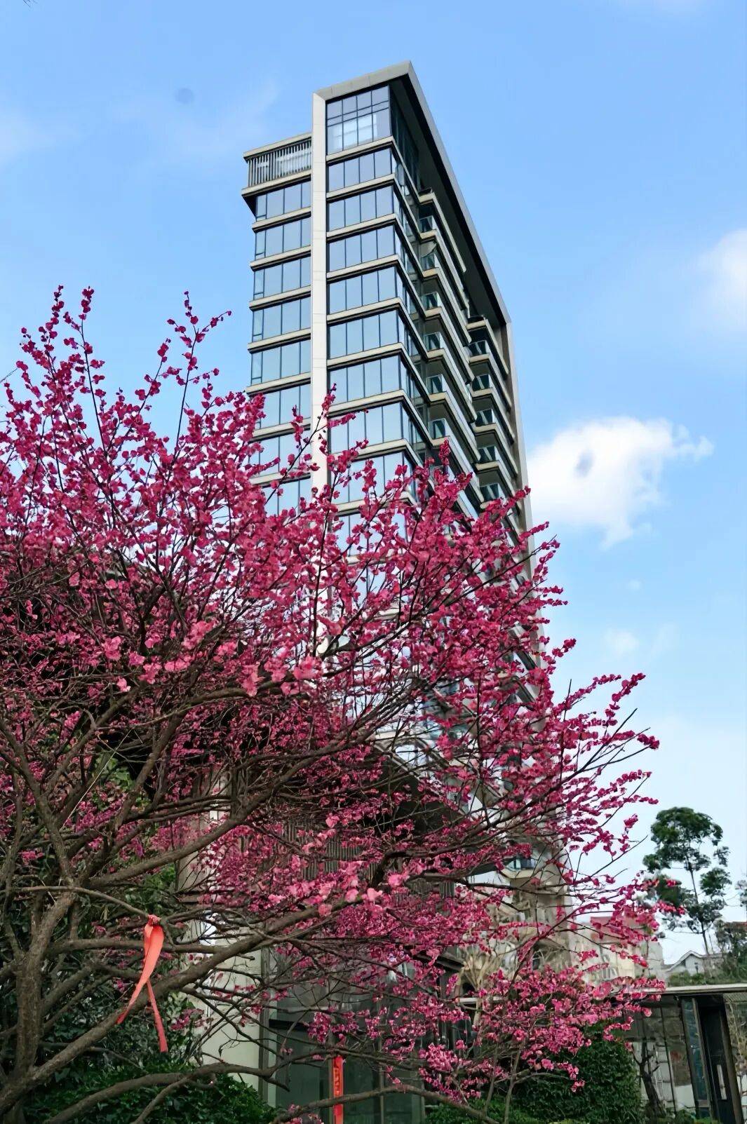 保租房、萬(wàn)象天地、“天空之城”……成都TOD最新消息來(lái)啦→