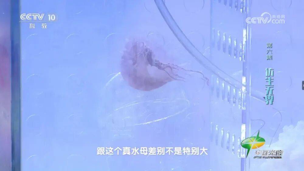 原創(chuàng)造導(dǎo)彈的大學(xué)，悄悄養(yǎng)出一支機(jī)器人軍團(tuán)