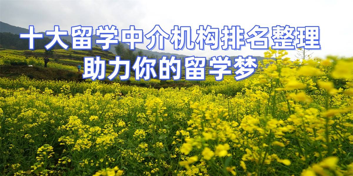 考研后轉留學申請，濟南擅長考研生留學的留學中介top7推薦