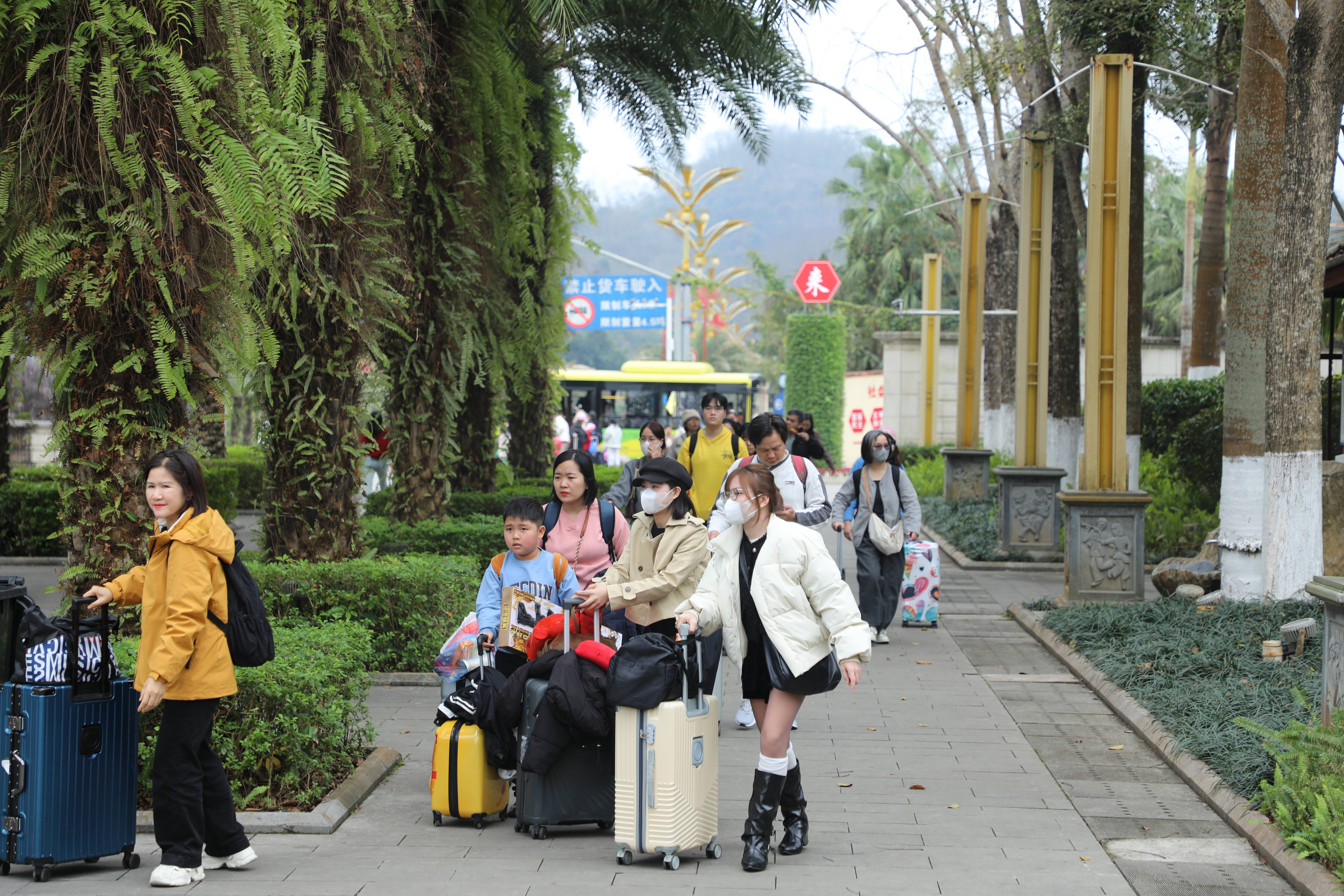賞花觀鷗、逛古城、爬雪山……越南游客在云南掀起入境旅游熱潮
