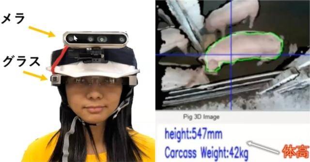 原創(chuàng)《鬼滅之刃》隱藏BUG？日本大學(xué)論文證實(shí)彌豆子竹子“不科學(xué)”