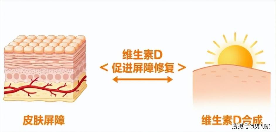 曬太陽(yáng)真的等于美容光？別再被“免費(fèi)美容”騙了！