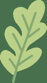 【佑安?首都除夕護衛(wèi)健康】佑安送福，春季流感高發(fā)這些防護要點請收藏