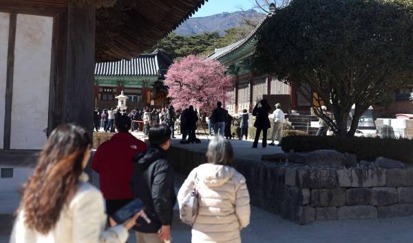 韓國旅游業(yè)“大手術(shù)”，李在明親自“主刀”