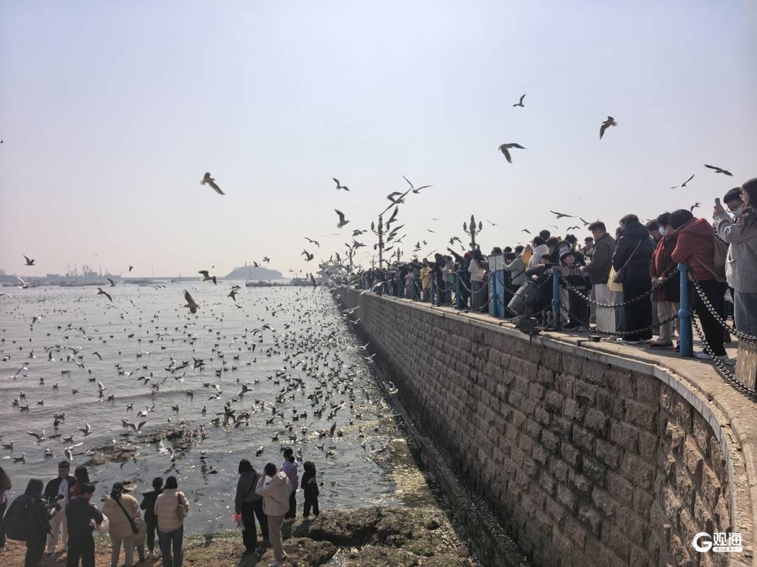 春節(jié)假期過(guò)后，青島老城文化旅游區(qū)依然“人從眾”