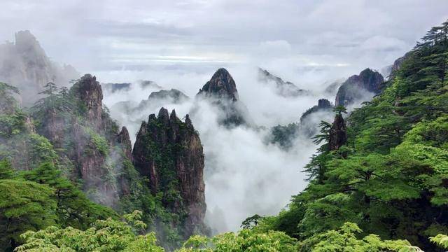 黃山剛剛官宣：面向全球女性，免門票7天！