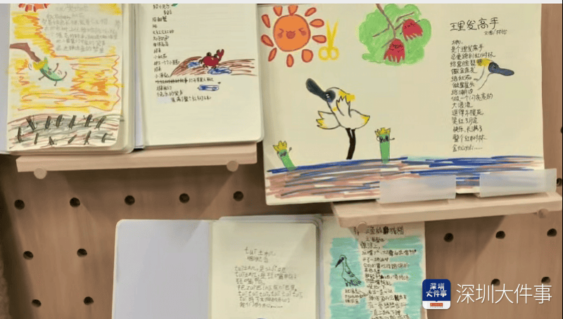 開學(xué)第一課，這群深圳小學(xué)生帶上爸媽，帶上書本走進(jìn)紅樹林