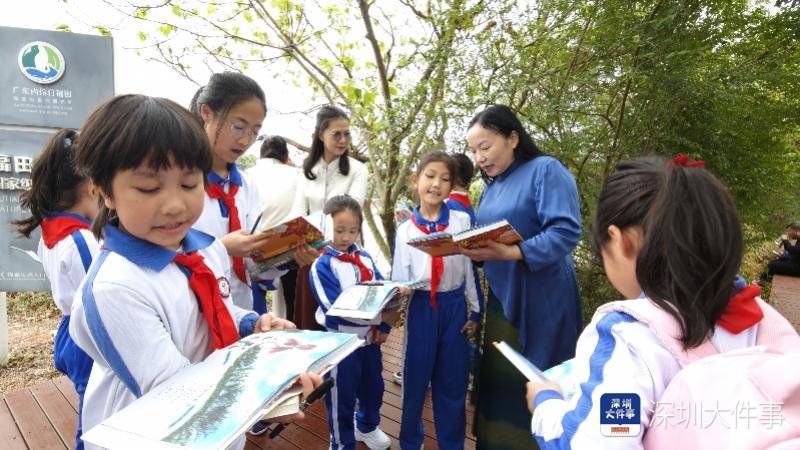 開學(xué)第一課，這群深圳小學(xué)生帶上爸媽，帶上書本走進(jìn)紅樹林