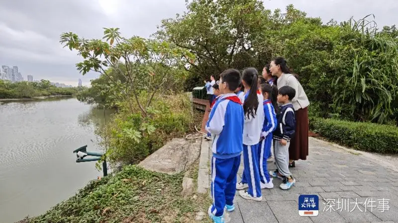 開學(xué)第一課，這群深圳小學(xué)生帶上爸媽，帶上書本走進(jìn)紅樹林