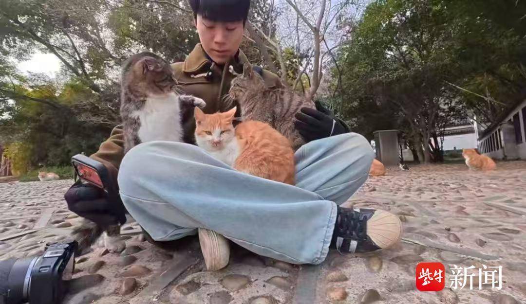 韓國旅游博主探訪鎮(zhèn)江，鏡頭展現(xiàn)山水人文底蘊引網(wǎng)友關(guān)注