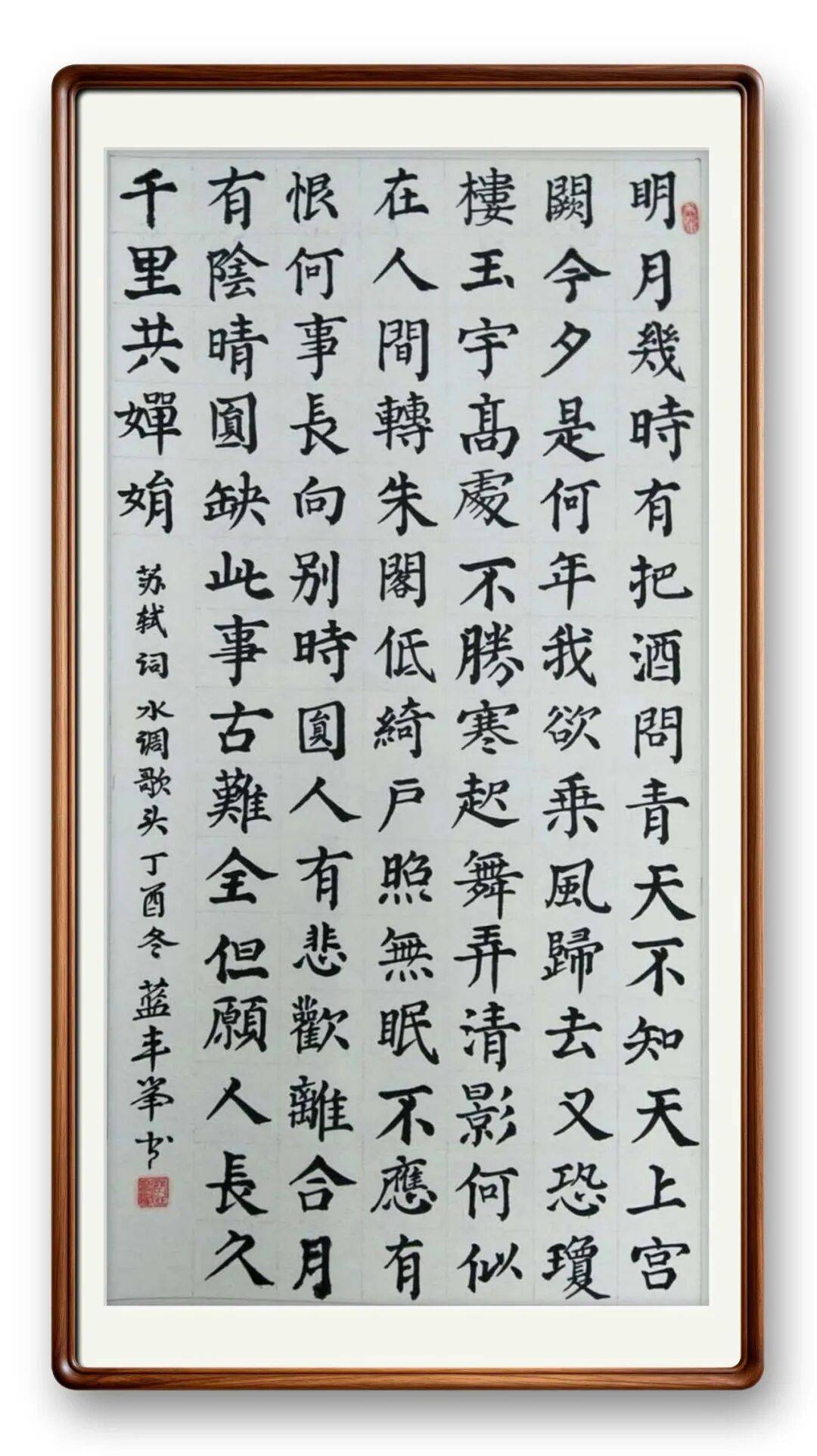 書(shū)法藝術(shù)家藍(lán)豐舉——元啟新章·翰墨賀歲