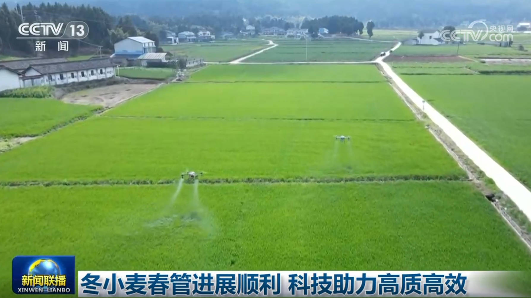 冬小麥春管進展順利 科技助力高質(zhì)高效