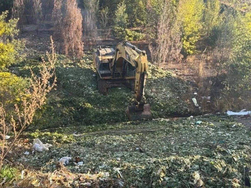 昆明空港物流園附近被傾倒生活垃圾，環(huán)保部門：累計清理10.7噸廢棄物