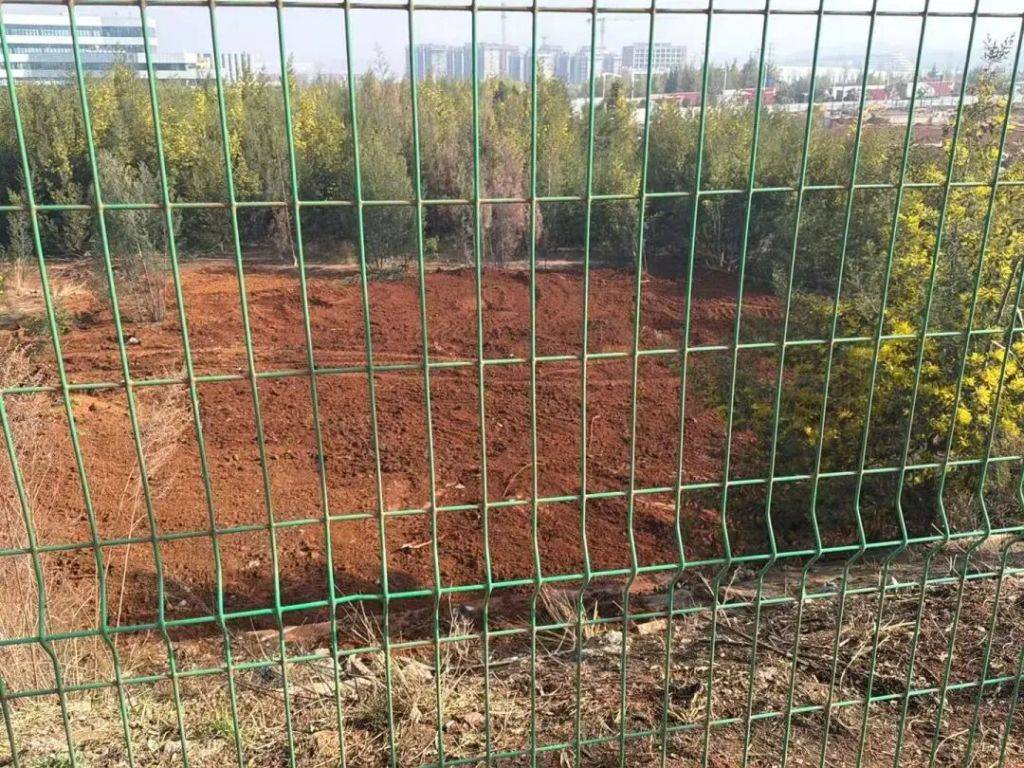 昆明空港物流園附近被傾倒生活垃圾，環(huán)保部門：累計清理10.7噸廢棄物