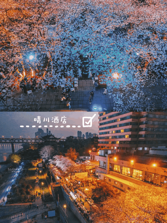原創(chuàng)武漢賞櫻攻略請收藏！除了武大和東湖，還有這些免費打卡地哦