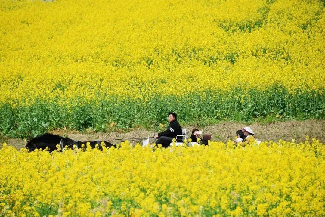 3?8女神節(jié)｜咸寧這些景區(qū)對(duì)女性免票、半價(jià)！