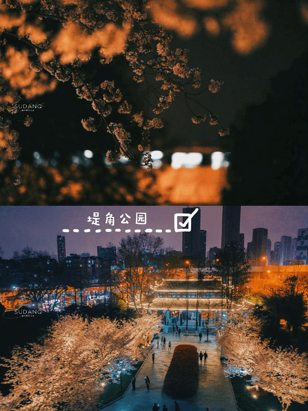 原創(chuàng)武漢賞櫻攻略請收藏！除了武大和東湖，還有這些免費打卡地哦