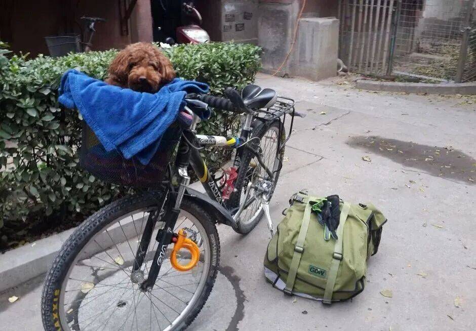 離婚出走20年，她卻被罵「女性叛徒」