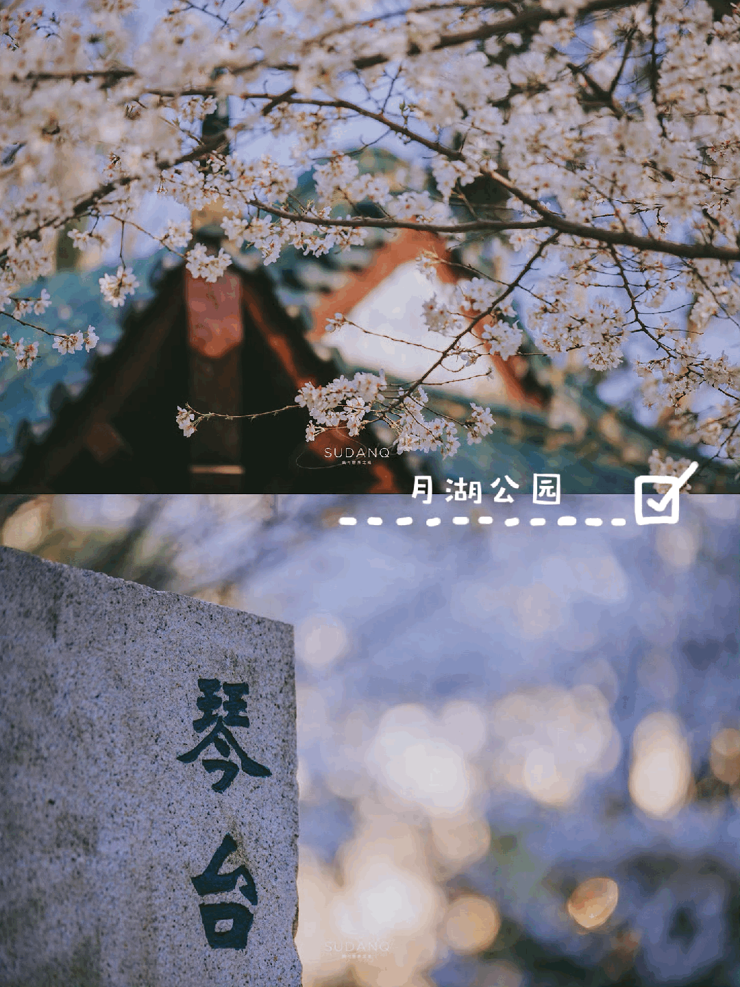 原創(chuàng)武漢賞櫻攻略請收藏！除了武大和東湖，還有這些免費打卡地哦