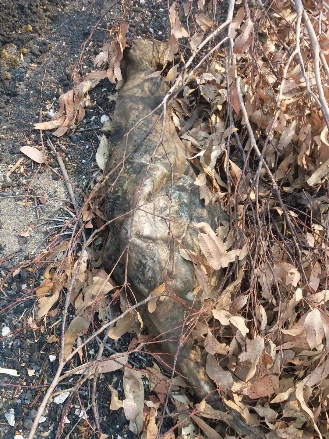 離婚出走20年，她卻被罵「女性叛徒」