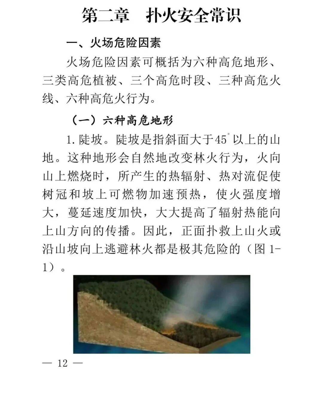 學(xué)習(xí)收藏！云南省森林草原火情早期處理與安全撲救手冊(cè)