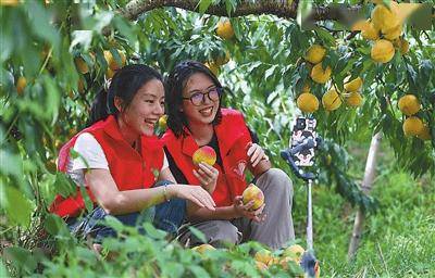 政府工作報告中的10大教育關(guān)鍵詞，教育工作者這樣熱議