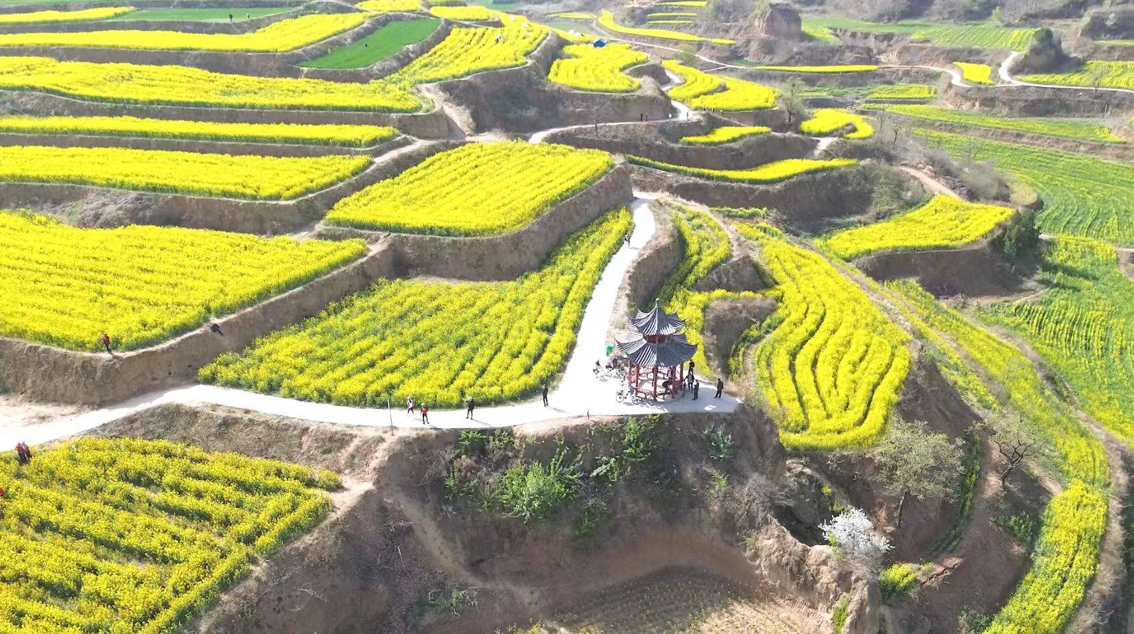 收藏這份鄭州賞花攻略，把整個(gè)春天裝進(jìn)眼里