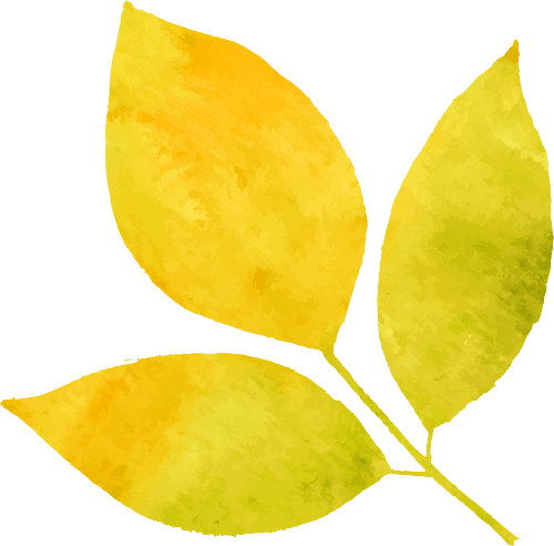 即墨區(qū)老年大學(xué)2026年春季學(xué)期招生簡(jiǎn)章