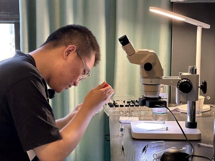 那些發(fā)現(xiàn)新物種的少年：有的是論文一作，有的獲得命名權(quán)