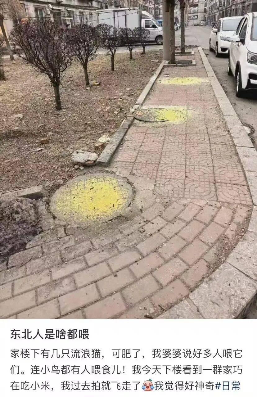 “被SCI拒絕的論文找到了自己真正的家？”哈哈哈人民看得懂的論文才是好論文！