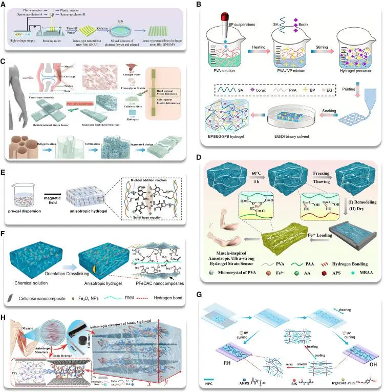 蘇炳添又發(fā)論文了，這次是頂刊?。ǖ淖涌?>
<p>為了把水凝膠排列整齊，科學(xué)家嘗試了各種腦洞大開的方法，比如用電把纖維“紡”出來（圖A），用3D打印技術(shù)“擠”出來（圖B），用模板方法“卡”出來（圖C），用拉伸誘導(dǎo)“塑”出來（圖D），甚至在水凝膠里摻入磁性顆粒，用磁鐵把它們“吸”成一排（圖E、F）<strong>論文</strong>。</p>
<p>復(fù)雜動作三維拆解<strong>論文</strong>，警示危險姿勢</p>
<img src=