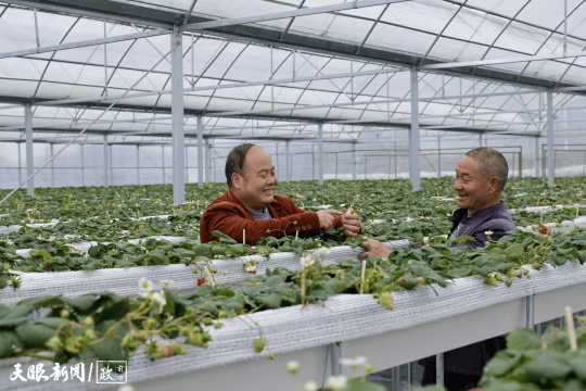 看見(jiàn)這雙手，我們讀懂了什么叫“把論文寫(xiě)在大地上”