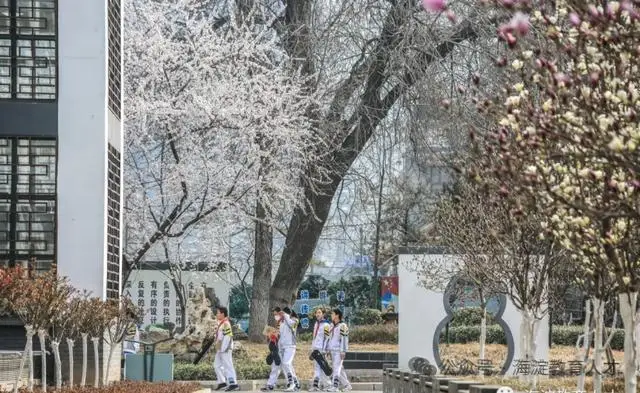 急需！海淀這12所中小幼學(xué)校招聘，快來看——