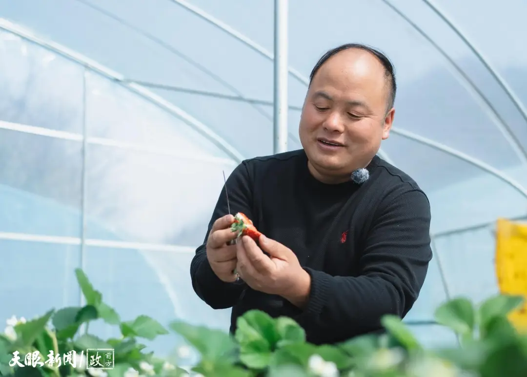 看見(jiàn)這雙手，我們讀懂了什么叫“把論文寫(xiě)在大地上”