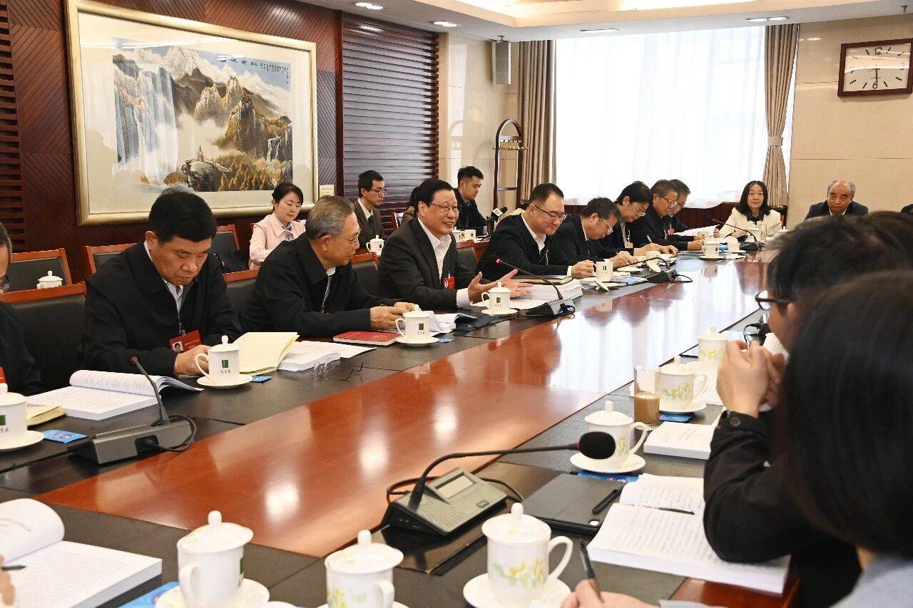 應(yīng)勇在安徽代表團(tuán)審議三部法律案