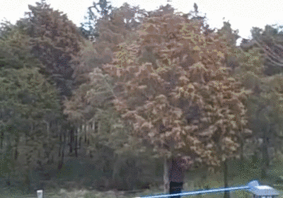 提前高發(fā)！10點(diǎn)到17點(diǎn)盡量關(guān)閉門窗！